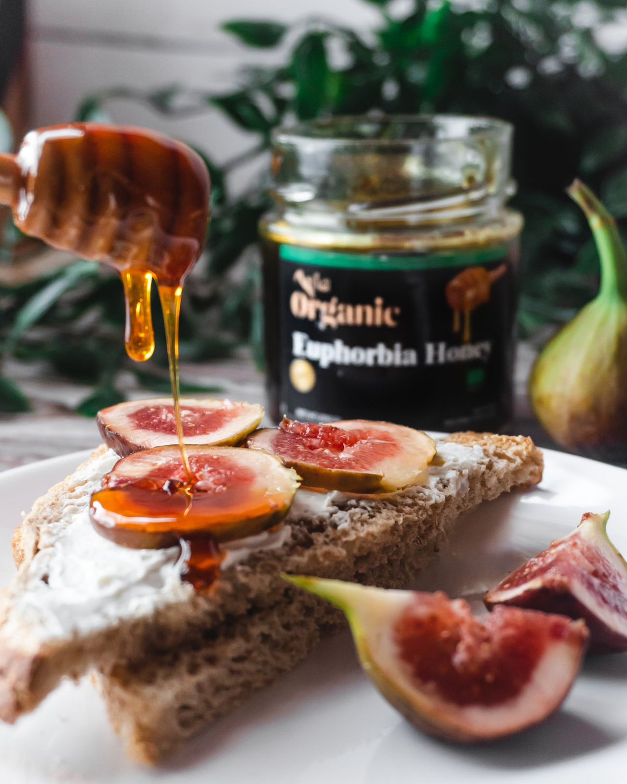 Organic Euphorbia Honey
